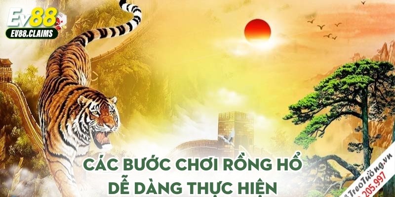 Các bước chơi rồng hổ dễ dàng thực hiện