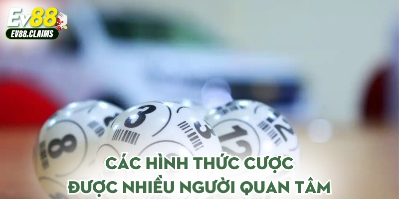 Các hình thức cược được nhiều người quan tâm