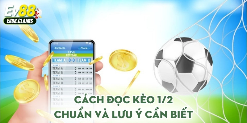 Kèo 1/2 Là Gì? Cách Hiểu Chuẩn Và Áp Dụng Trong Bóng Đá 2 Cách đọc kèo 1/2 chuẩn và lưu ý cần biết