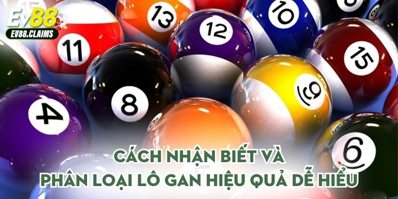 Cách nhận biết và phân loại lô gan hiệu quả dễ hiểu