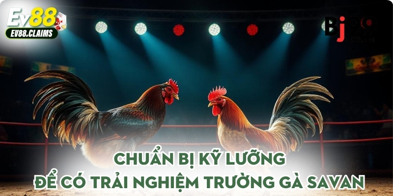 Chuẩn bị kỹ lưỡng để có trải nghiệm trường gà Savan