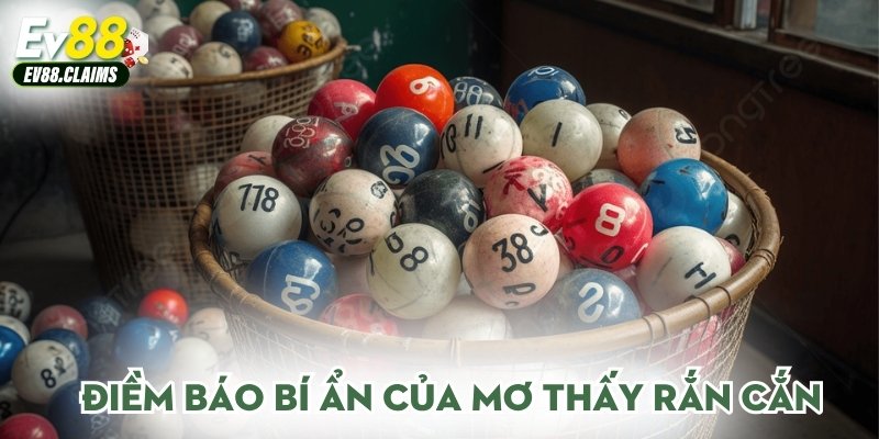 Điềm báo bí ẩn của mơ thấy rắn cắn