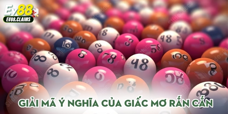 Giải mã ý nghĩa của giấc mơ rắn cắn