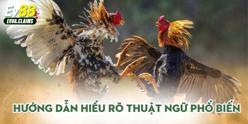 Hướng dẫn hiểu rõ thuật ngữ phổ biến