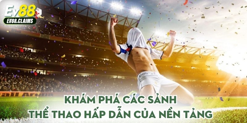 Khám phá các sảnh thể thao hấp dẫn của nền tảng