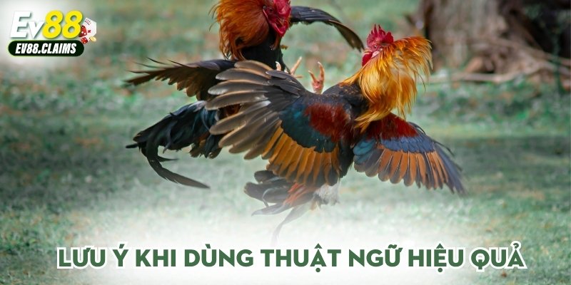 Lưu ý khi dùng thuật ngữ hiệu quả