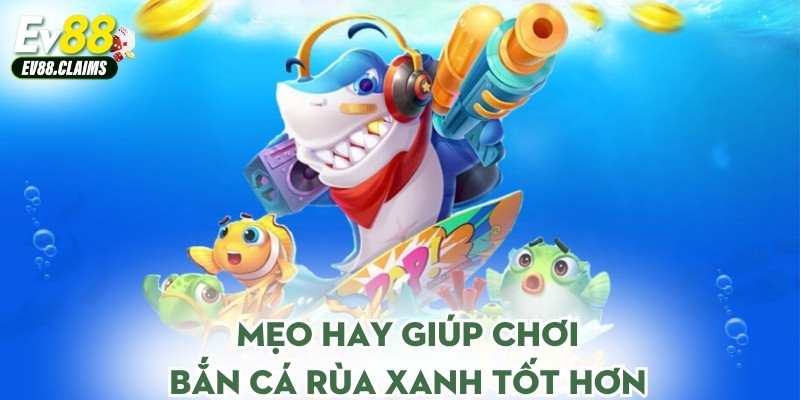 Mẹo hay giúp chơi bắn cá rùa xanh tốt hơn