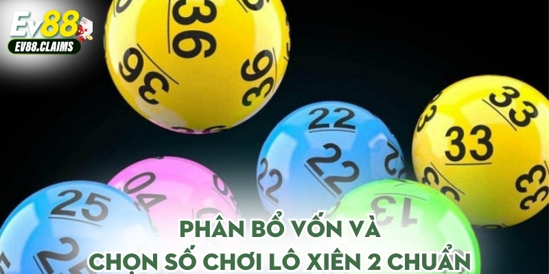 Lô Xiên 2 - Hiểu Đúng Cách Để Cá Cược Hiệu Quả Nhất 3 Phân bổ vốn và chọn số chơi lô xiên 2 chuẩn