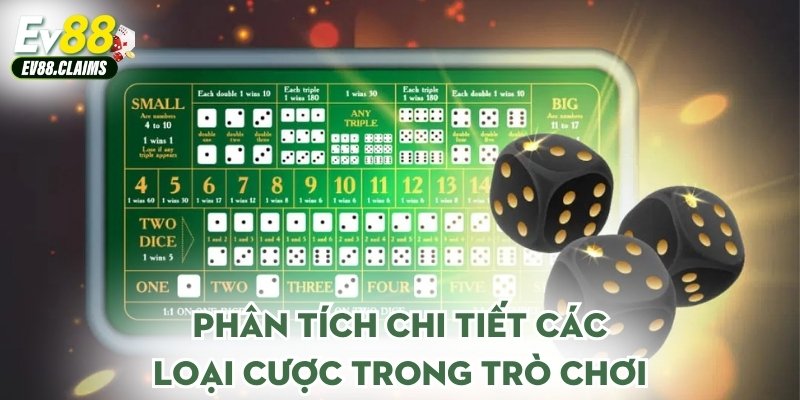 Phân tích chi tiết các loại cược trong trò chơi