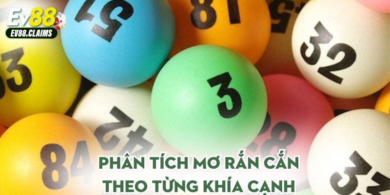 Phân tích mơ rắn cắn theo từng khía cạnh