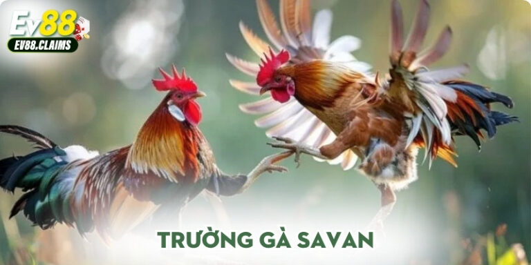 Trường Gà Savan